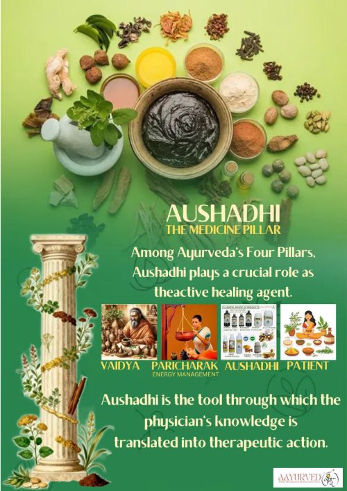 Aushadhi Pillar Image